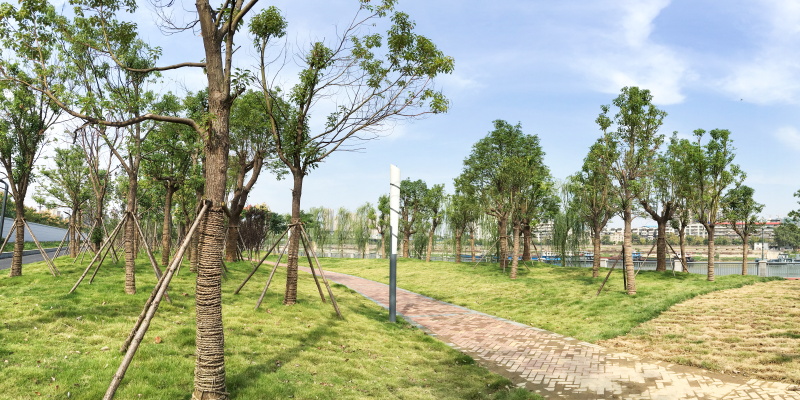 ��������(�й���)�ٷ���վ