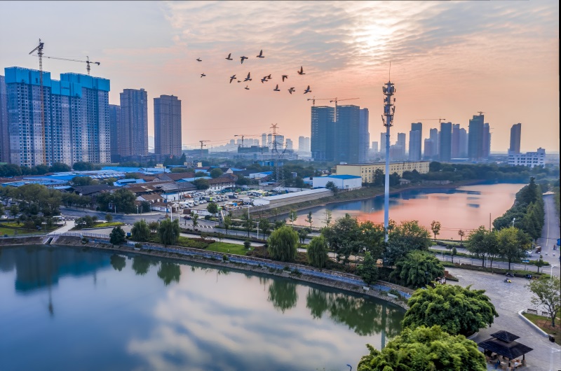 ��������(�й���)�ٷ���վ