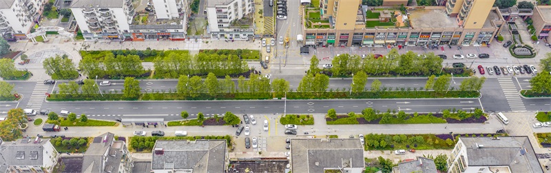 ��������(�й���)�ٷ���վ