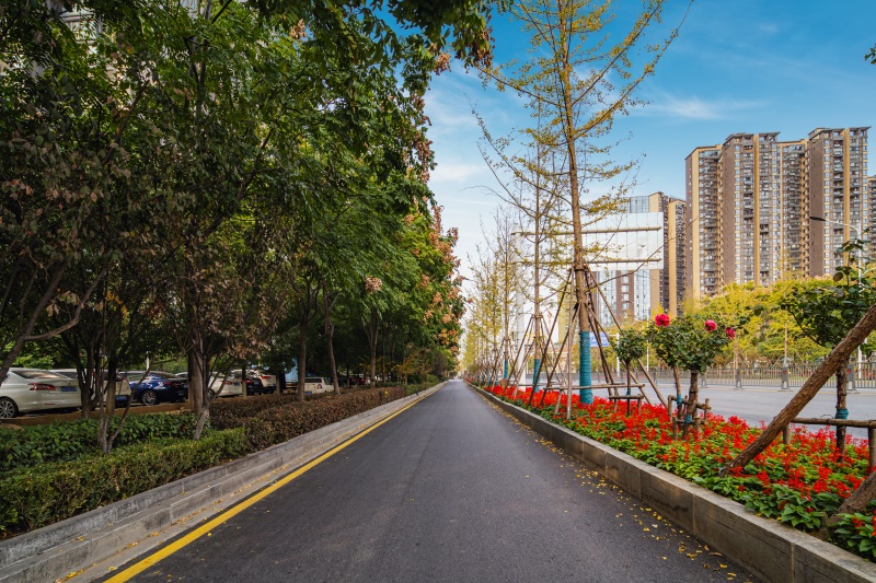 ��������(�й���)�ٷ���վ