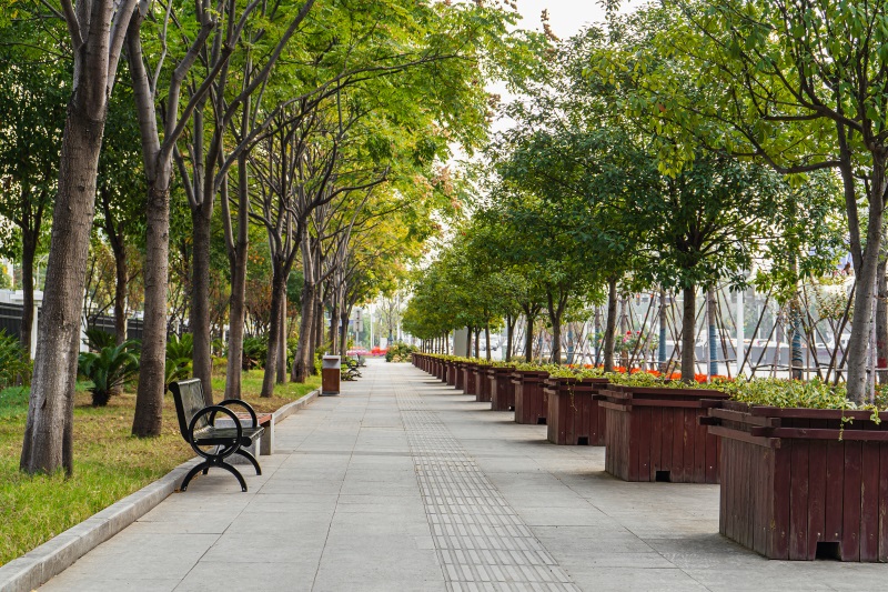 ��������(�й���)�ٷ���վ