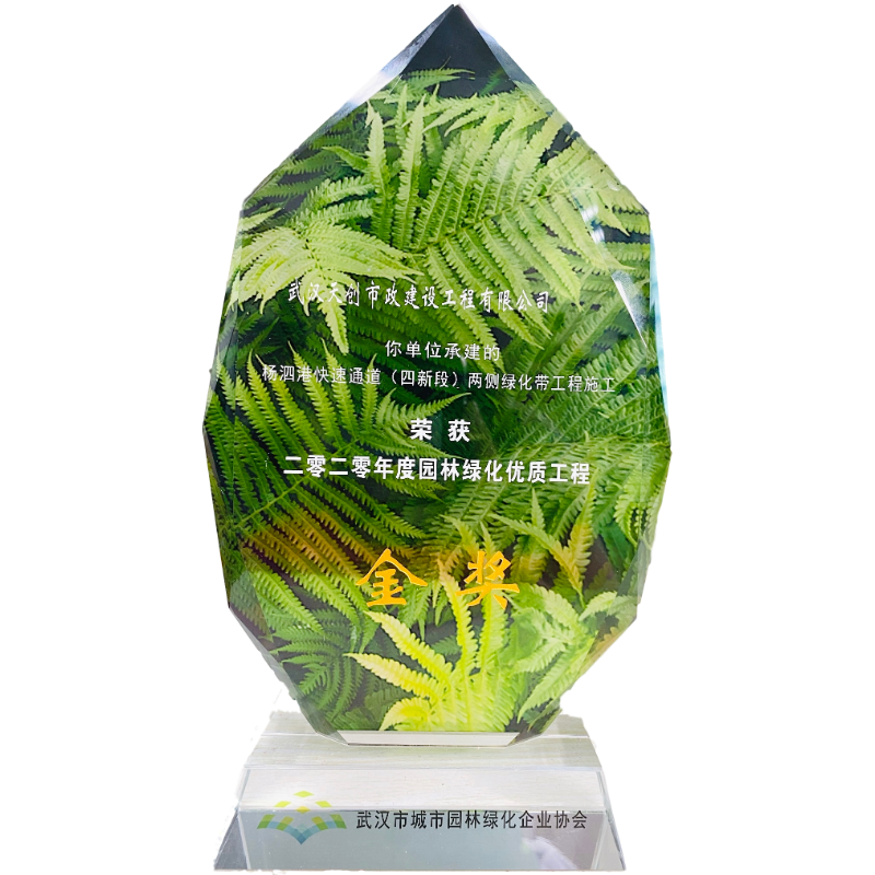 ��������(�й���)�ٷ���վ