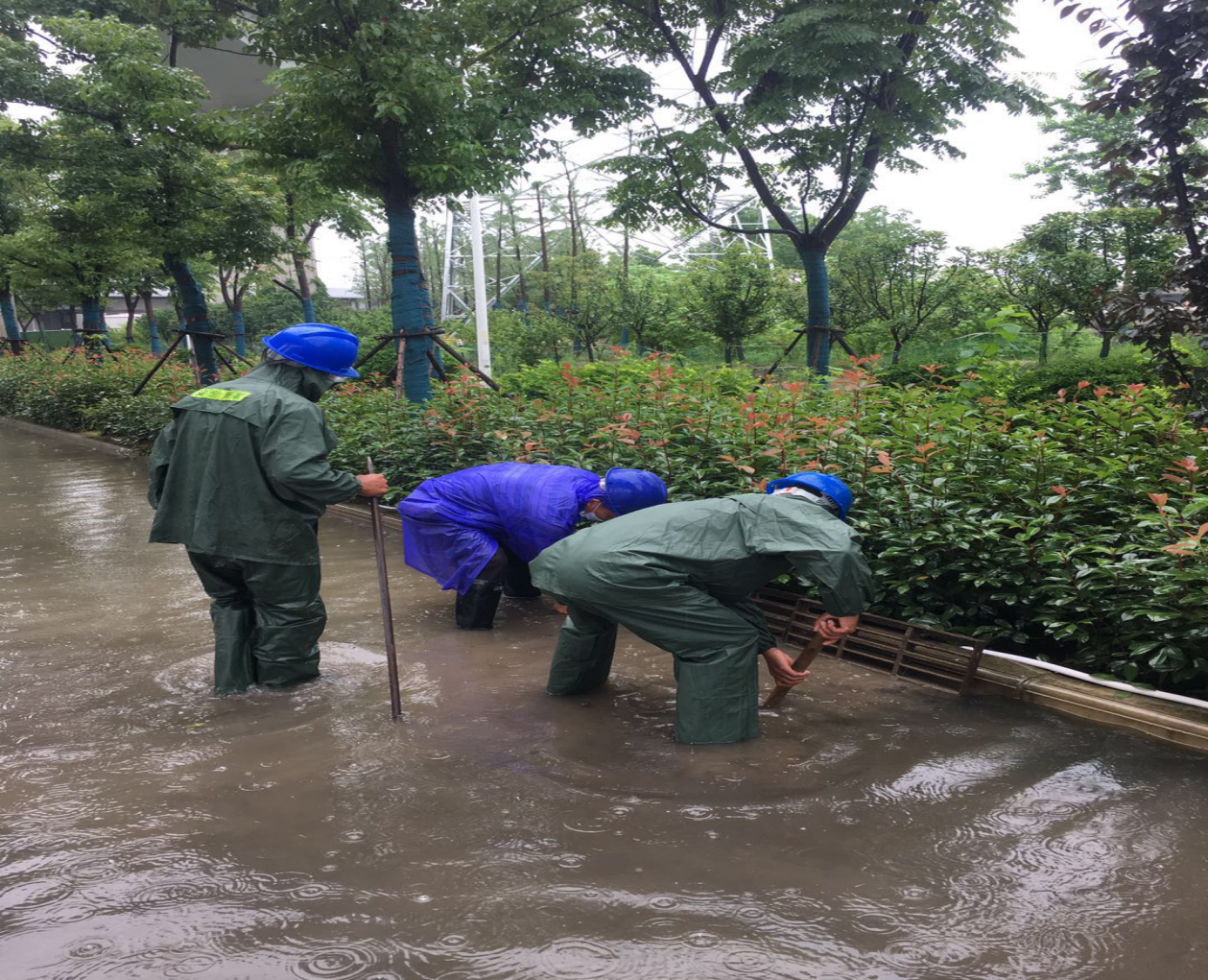 ��������(�й���)�ٷ���վ