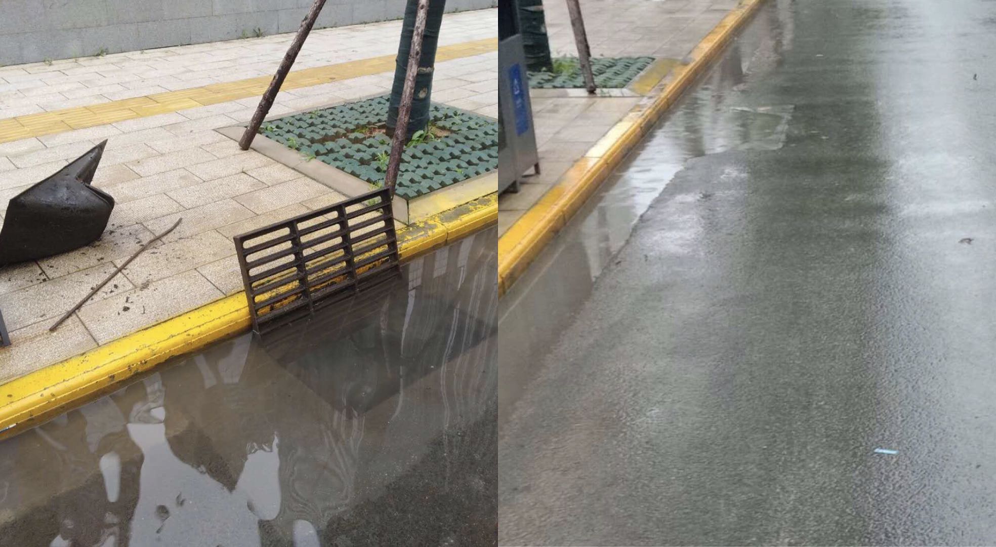 ��������(�й���)�ٷ���վ