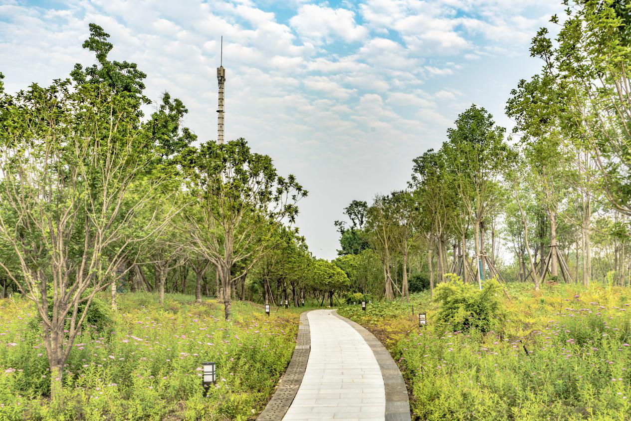 ��������(�й���)�ٷ���վ