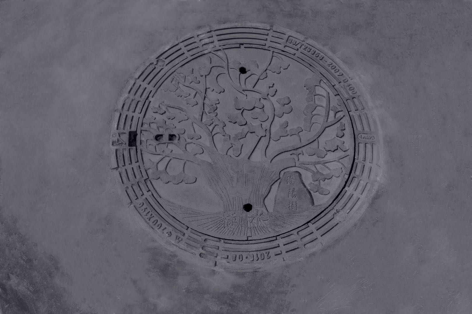 ��������(�й���)�ٷ���վ