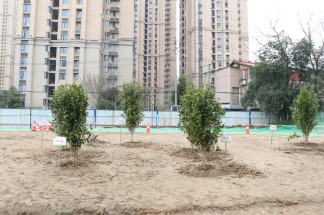 ��������(�й���)�ٷ���վ