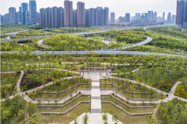 ��������(�й���)�ٷ���վ