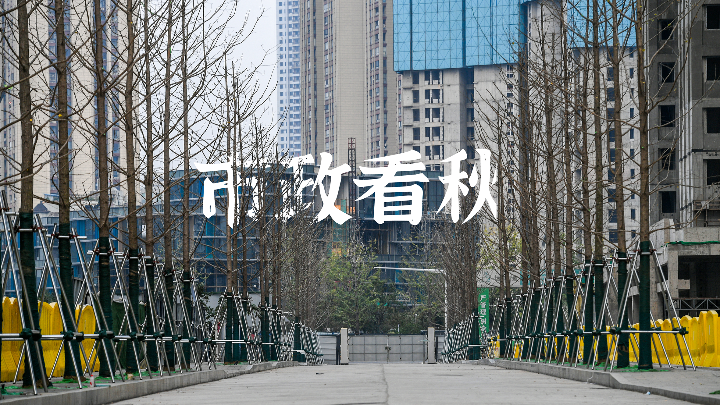 ��������(�й���)�ٷ���վ