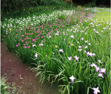 ��������(�й���)�ٷ���վ