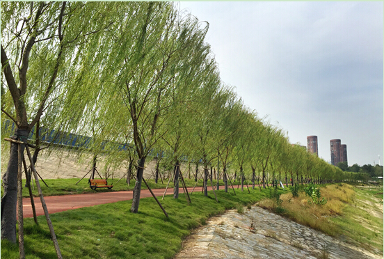 ��������(�й���)�ٷ���վ