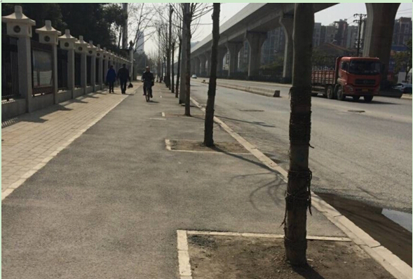 ��������(�й���)�ٷ���վ