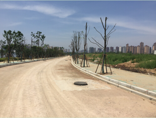 ��������(�й���)�ٷ���վ