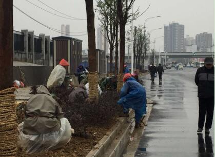 ��������(�й���)�ٷ���վ