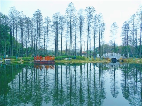 Àû·¢¹ú¼Ê(ÖйúÓÎ)¹Ù·½ÍøÕ¾