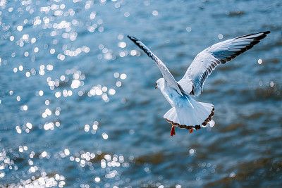 利发国际(中国游)官方网站