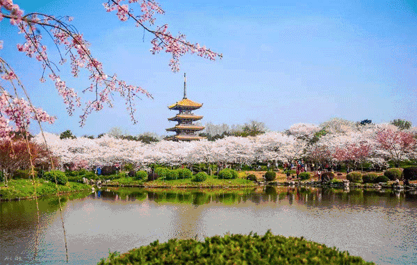 ��������(�й���)�ٷ���վ