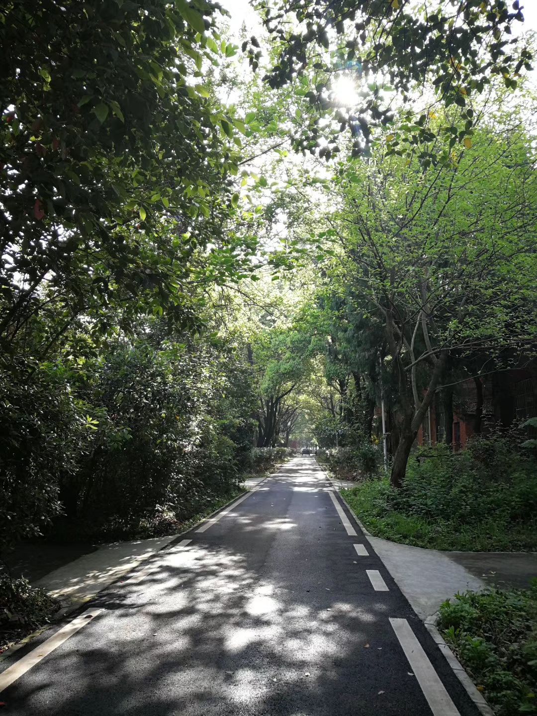 ��������(�й���)�ٷ���վ