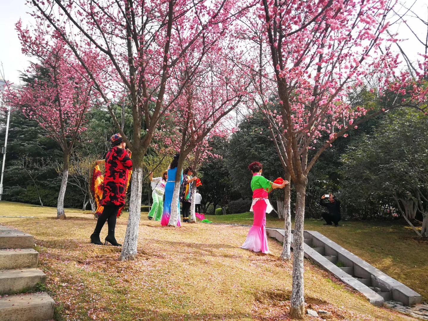 ��������(�й���)�ٷ���վ