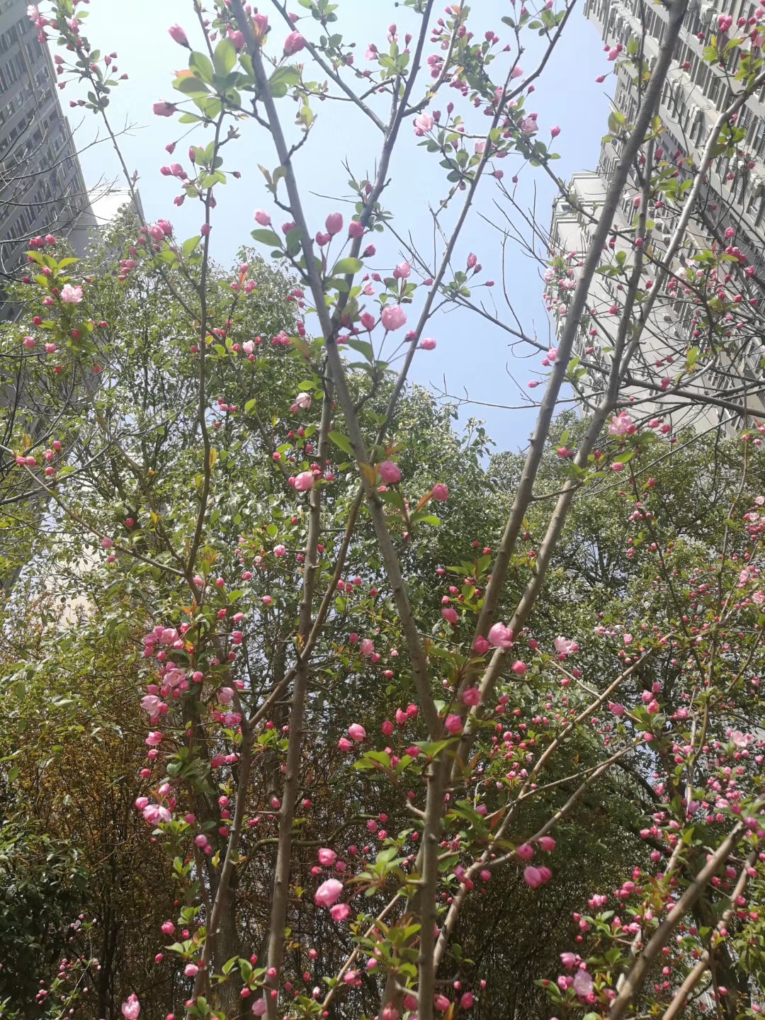 ��������(�й���)�ٷ���վ